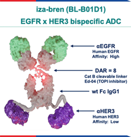 20250707-172607.jpg 20250707-172607.jpg